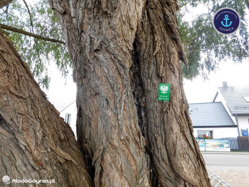 Wycieczka Nr 8 Klubu Podróżniczego PTTK Kotwica - Spacerkiem po Rewie - 10.10.2020