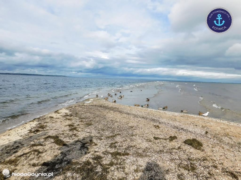 Wycieczka Nr 8 Klubu Podróżniczego PTTK Kotwica - Spacerkiem po Rewie - 10.10.2020