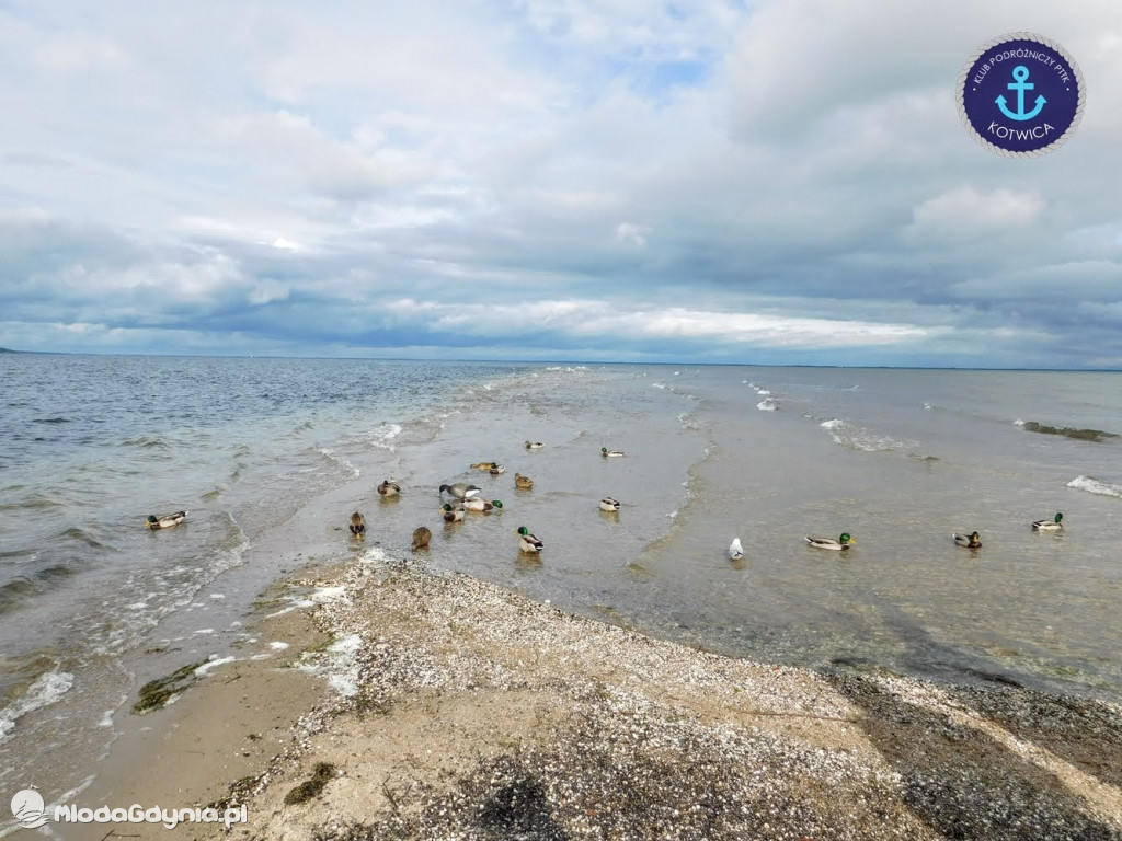Wycieczka Nr 8 Klubu Podróżniczego PTTK Kotwica - Spacerkiem po Rewie - 10.10.2020