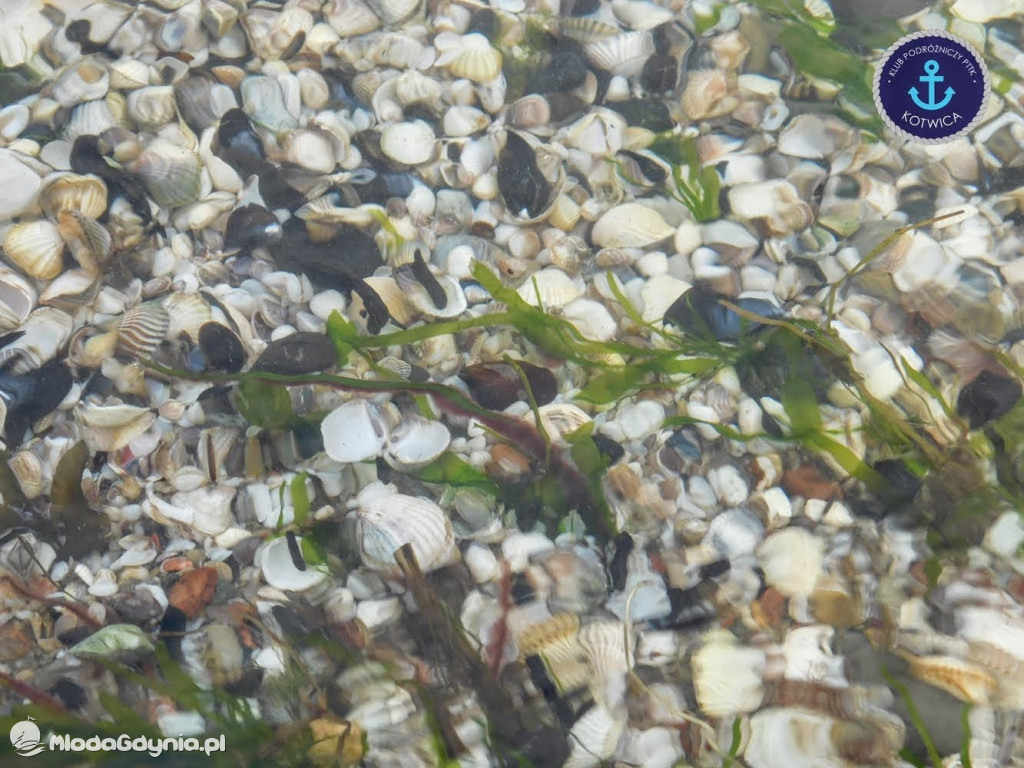 Wycieczka Nr 8 Klubu Podróżniczego PTTK Kotwica - Spacerkiem po Rewie - 10.10.2020