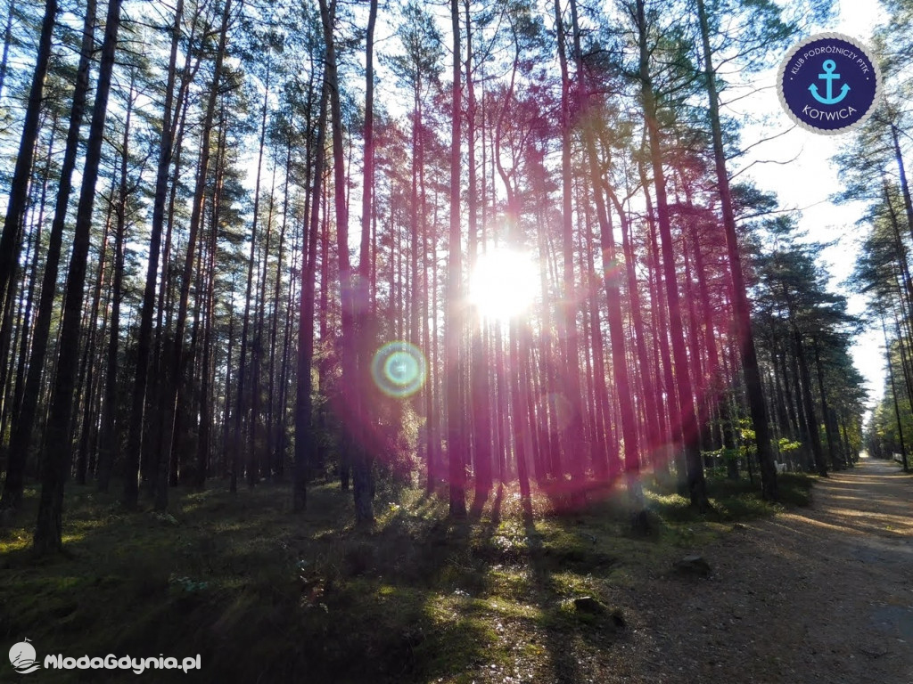 Wycieczka Nr 9 Klubu Podróżniczego PTTK Kotwica - Pamiętamy o Piaśnicy - 17.10.2020
