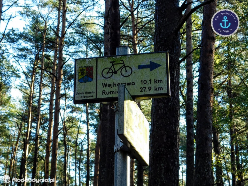 Wycieczka Nr 9 Klubu Podróżniczego PTTK Kotwica - Pamiętamy o Piaśnicy - 17.10.2020