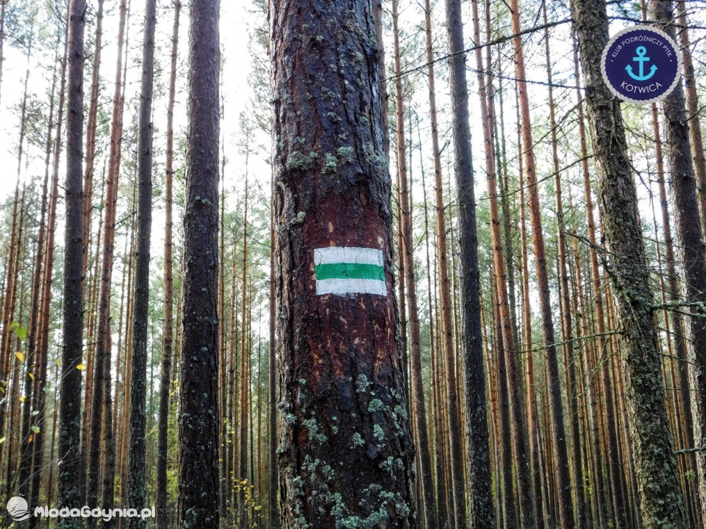 Wycieczka Nr 9 Klubu Podróżniczego PTTK Kotwica - Pamiętamy o Piaśnicy - 17.10.2020