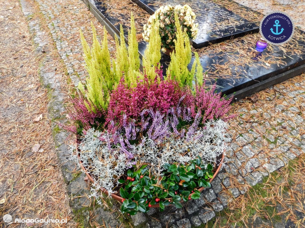 Wycieczka Nr 9 Klubu Podróżniczego PTTK Kotwica - Pamiętamy o Piaśnicy - 17.10.2020