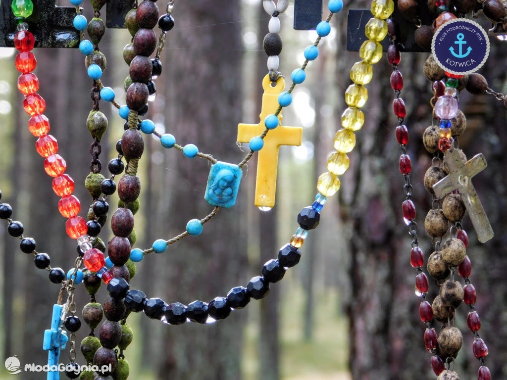 Wycieczka Nr 9 Klubu Podróżniczego PTTK Kotwica - Pamiętamy o Piaśnicy - 17.10.2020