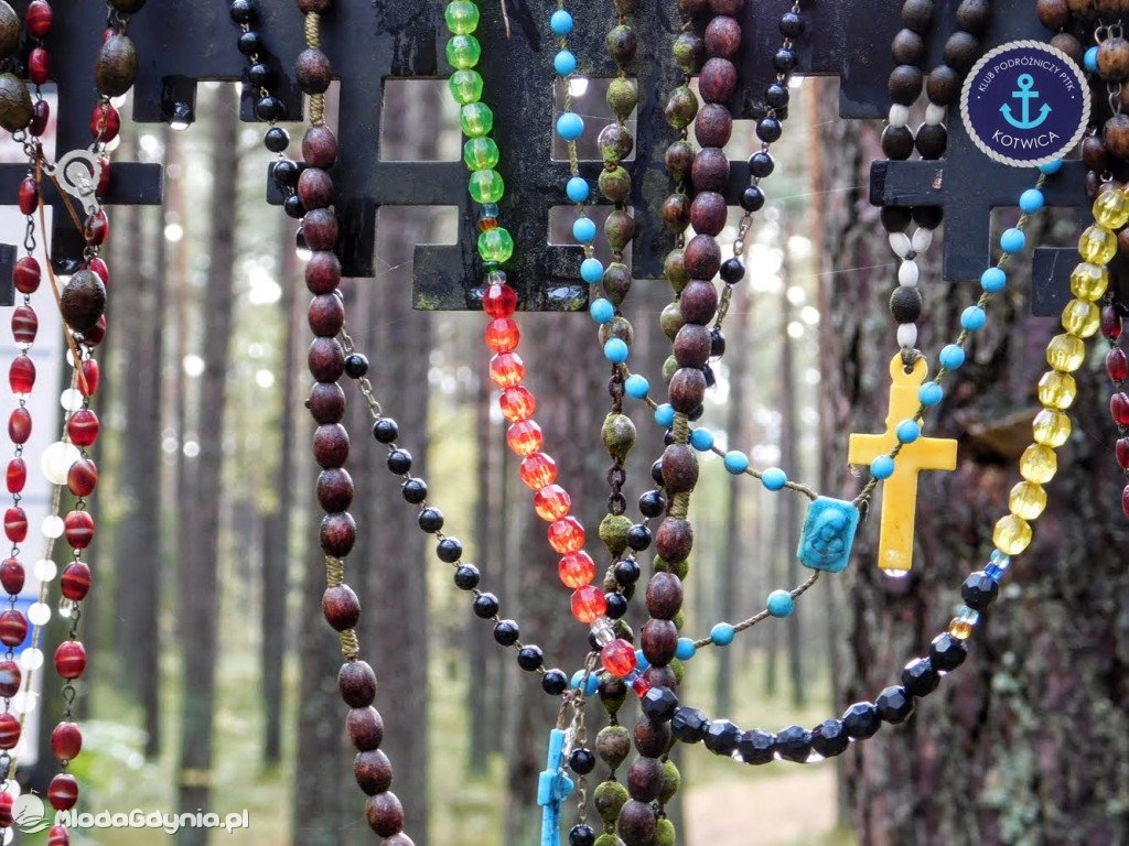 Wycieczka Nr 9 Klubu Podróżniczego PTTK Kotwica - Pamiętamy o Piaśnicy - 17.10.2020