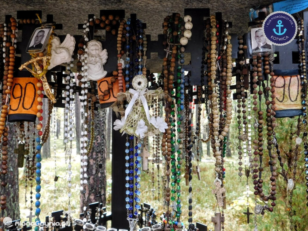 Wycieczka Nr 9 Klubu Podróżniczego PTTK Kotwica - Pamiętamy o Piaśnicy - 17.10.2020