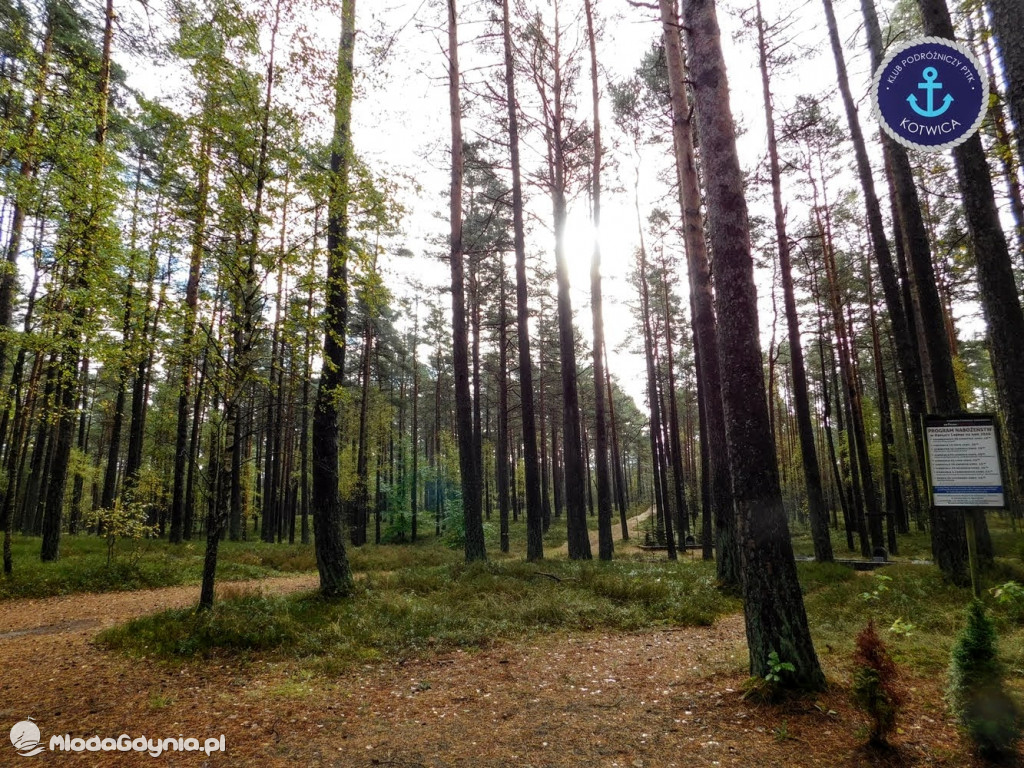 Wycieczka Nr 9 Klubu Podróżniczego PTTK Kotwica - Pamiętamy o Piaśnicy - 17.10.2020