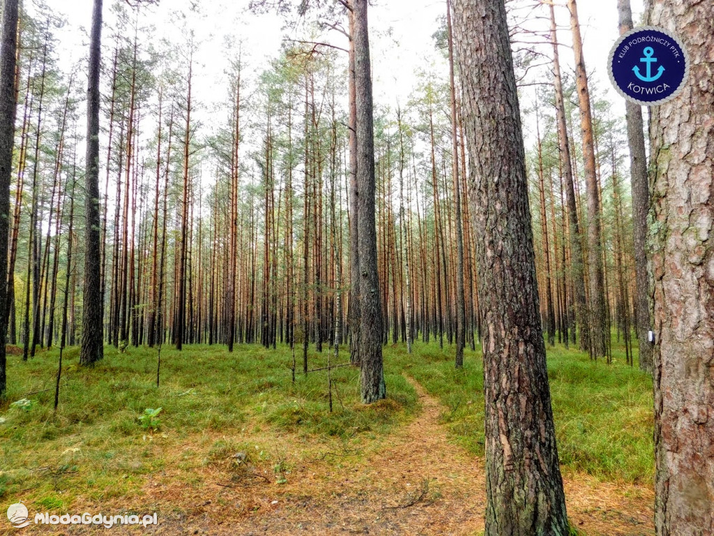 Wycieczka Nr 9 Klubu Podróżniczego PTTK Kotwica - Pamiętamy o Piaśnicy - 17.10.2020