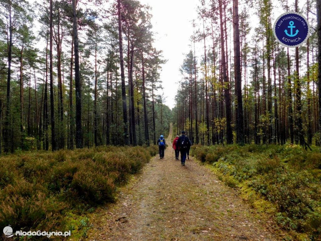 Wycieczka Nr 9 Klubu Podróżniczego PTTK Kotwica - Pamiętamy o Piaśnicy - 17.10.2020