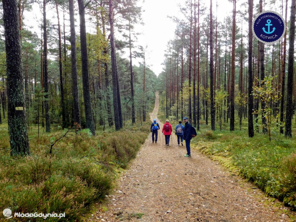 Wycieczka Nr 9 Klubu Podróżniczego PTTK Kotwica - Pamiętamy o Piaśnicy - 17.10.2020