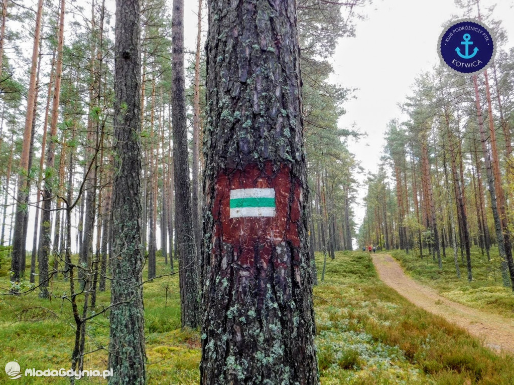 Wycieczka Nr 9 Klubu Podróżniczego PTTK Kotwica - Pamiętamy o Piaśnicy - 17.10.2020