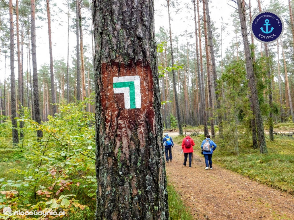 Wycieczka Nr 9 Klubu Podróżniczego PTTK Kotwica - Pamiętamy o Piaśnicy - 17.10.2020