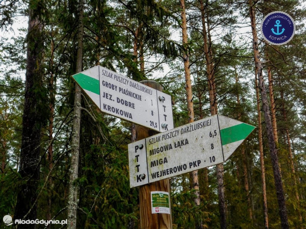 Wycieczka Nr 9 Klubu Podróżniczego PTTK Kotwica - Pamiętamy o Piaśnicy - 17.10.2020