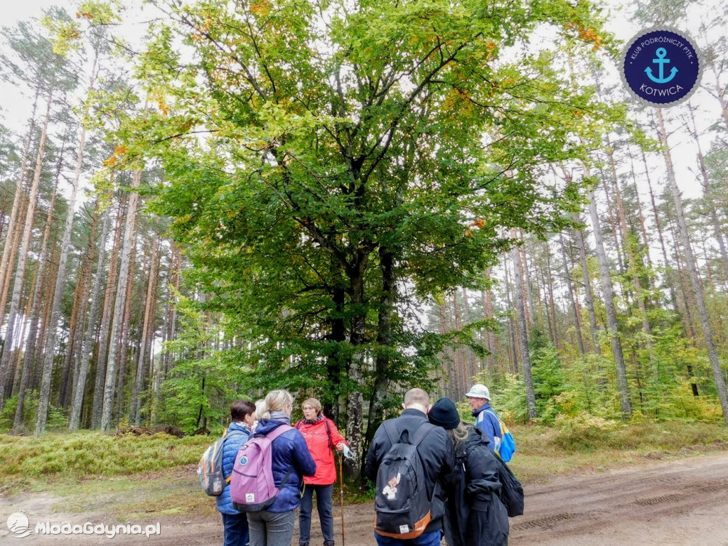 Wycieczka Nr 9 Klubu Podróżniczego PTTK Kotwica - Pamiętamy o Piaśnicy - 17.10.2020