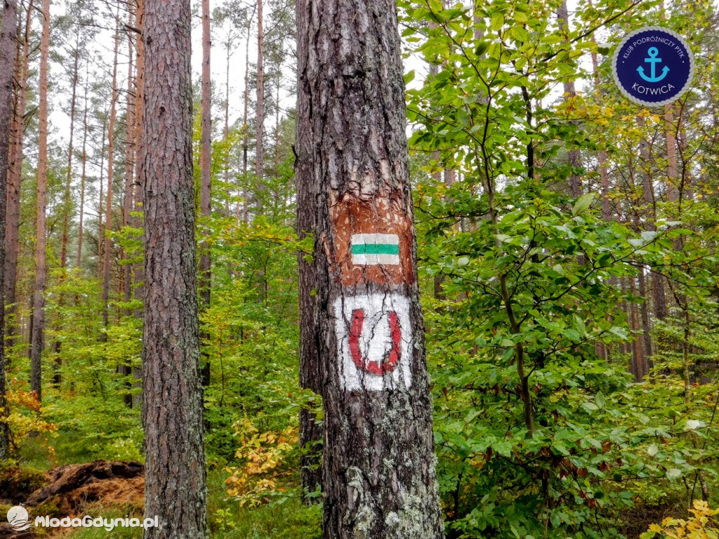 Wycieczka Nr 9 Klubu Podróżniczego PTTK Kotwica - Pamiętamy o Piaśnicy - 17.10.2020