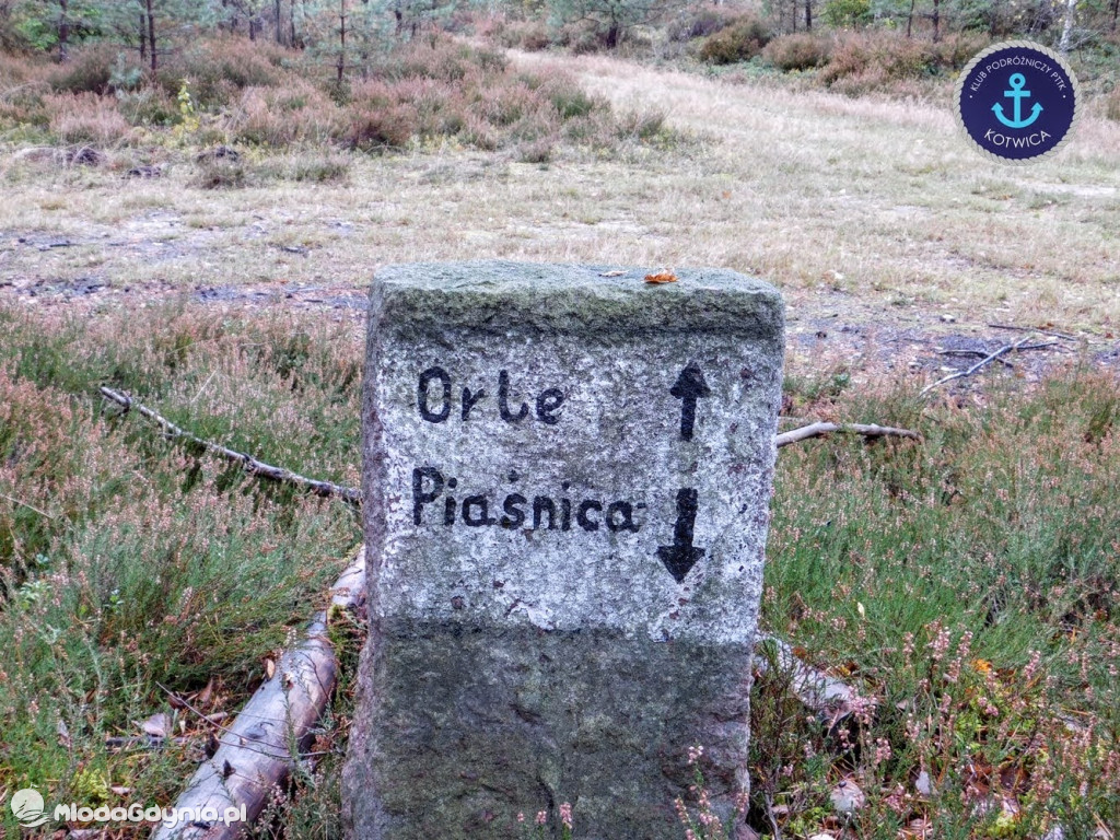 Wycieczka Nr 9 Klubu Podróżniczego PTTK Kotwica - Pamiętamy o Piaśnicy - 17.10.2020