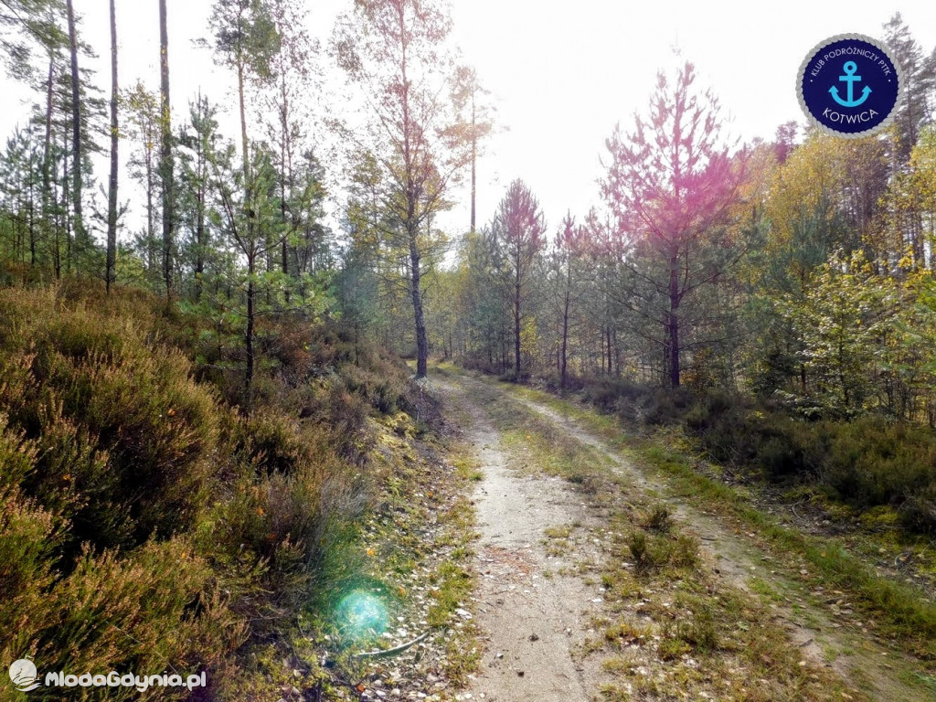 Wycieczka Nr 9 Klubu Podróżniczego PTTK Kotwica - Pamiętamy o Piaśnicy - 17.10.2020