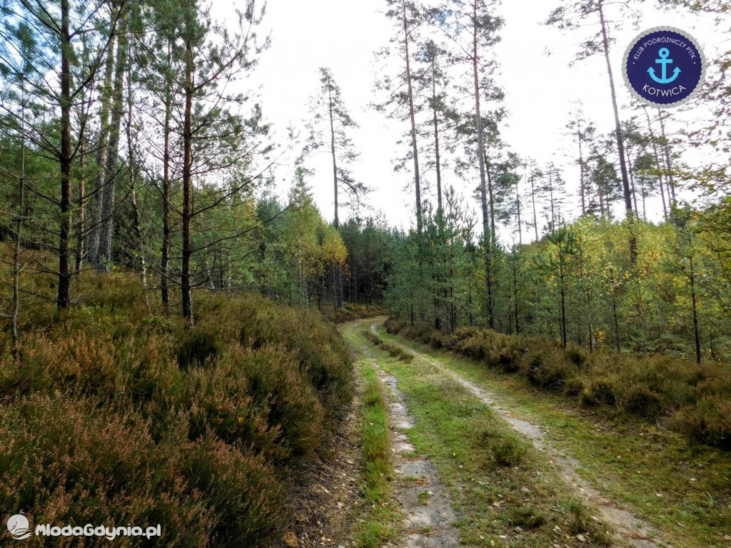 Wycieczka Nr 9 Klubu Podróżniczego PTTK Kotwica - Pamiętamy o Piaśnicy - 17.10.2020