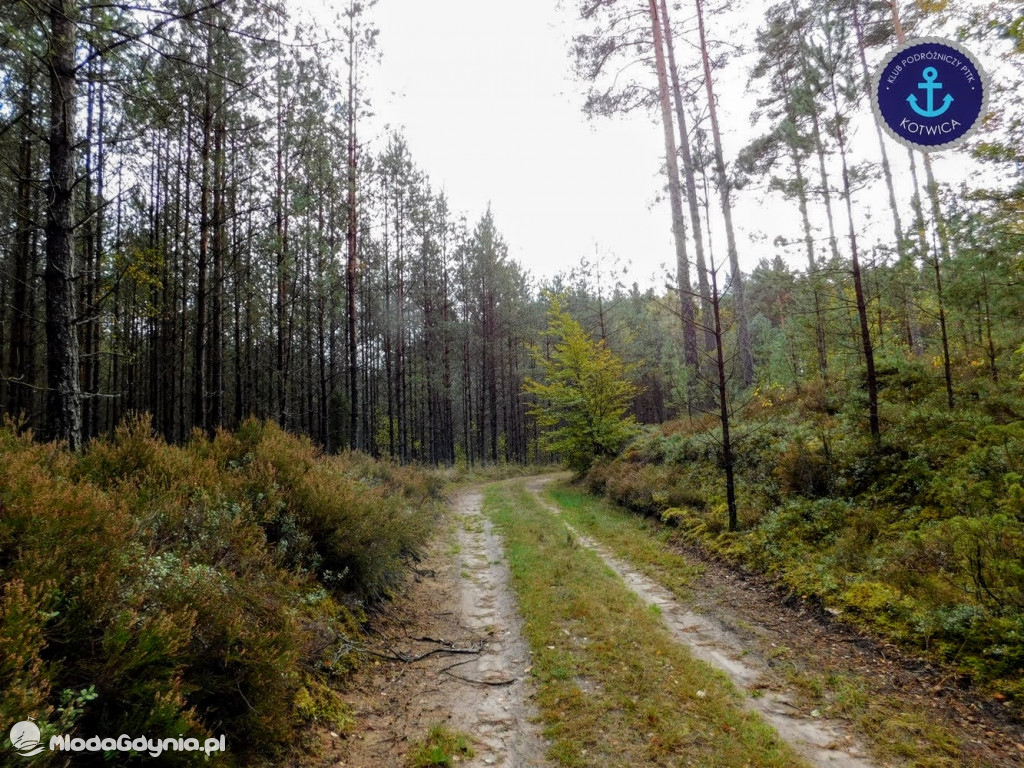 Wycieczka Nr 9 Klubu Podróżniczego PTTK Kotwica - Pamiętamy o Piaśnicy - 17.10.2020