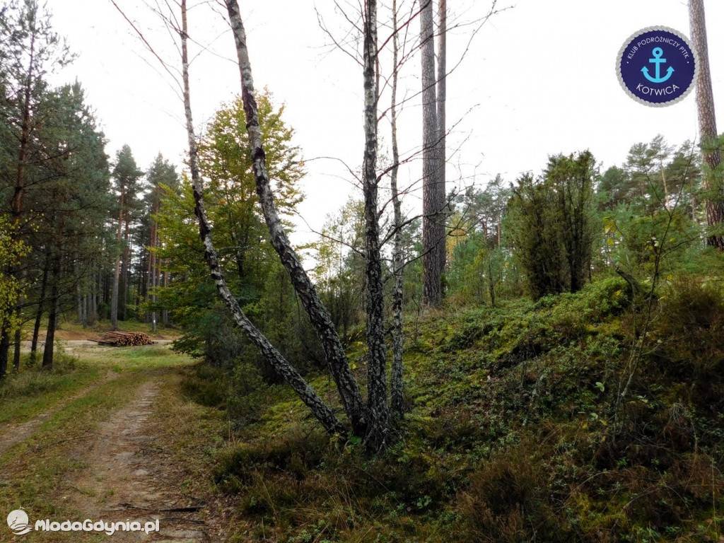 Wycieczka Nr 9 Klubu Podróżniczego PTTK Kotwica - Pamiętamy o Piaśnicy - 17.10.2020