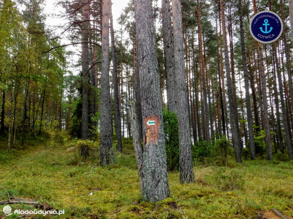Wycieczka Nr 9 Klubu Podróżniczego PTTK Kotwica - Pamiętamy o Piaśnicy - 17.10.2020