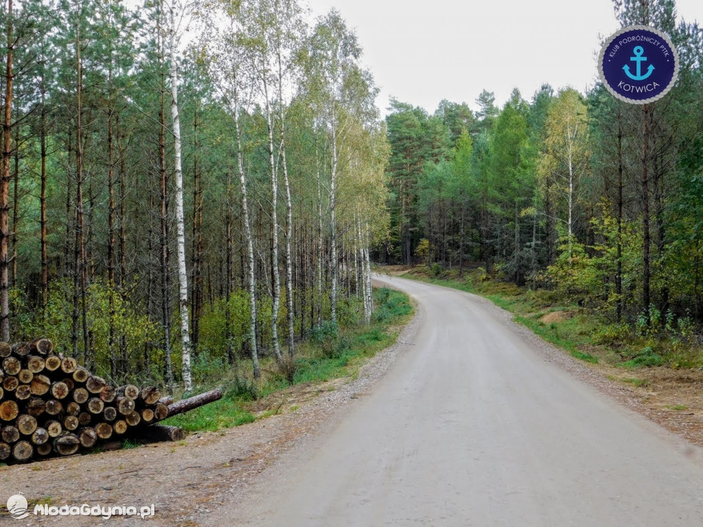 Wycieczka Nr 9 Klubu Podróżniczego PTTK Kotwica - Pamiętamy o Piaśnicy - 17.10.2020