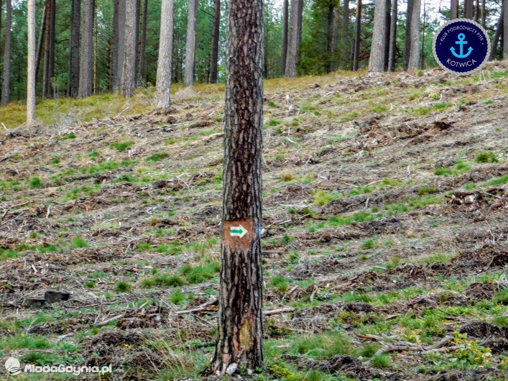 Wycieczka Nr 9 Klubu Podróżniczego PTTK Kotwica - Pamiętamy o Piaśnicy - 17.10.2020