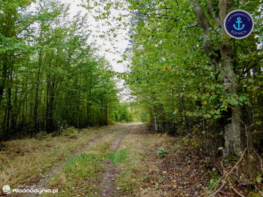 Wycieczka Nr 9 Klubu Podróżniczego PTTK Kotwica - Pamiętamy o Piaśnicy - 17.10.2020