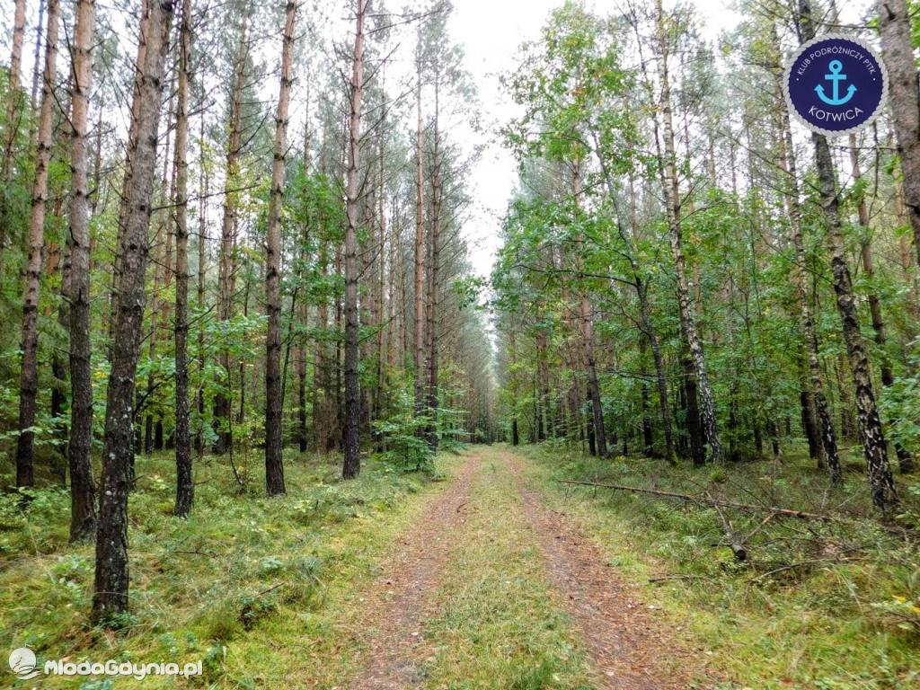 Wycieczka Nr 9 Klubu Podróżniczego PTTK Kotwica - Pamiętamy o Piaśnicy - 17.10.2020