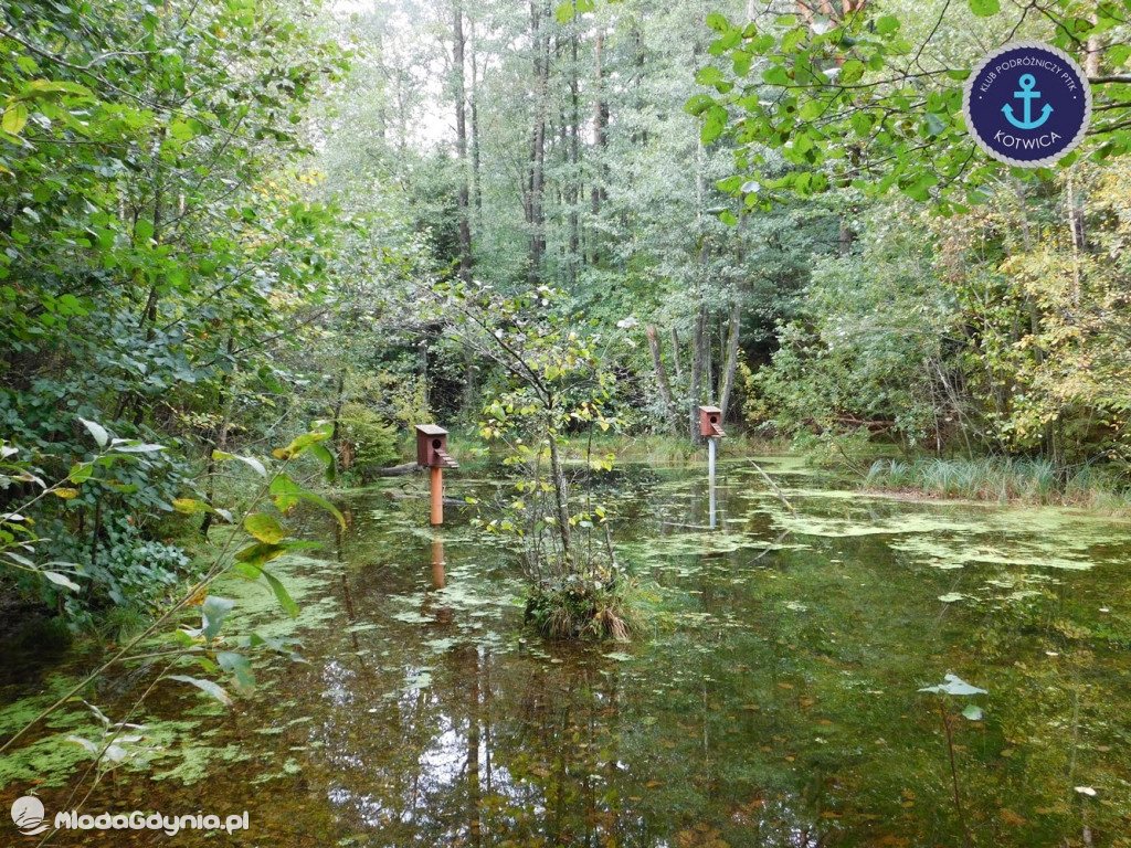 Wycieczka Nr 9 Klubu Podróżniczego PTTK Kotwica - Pamiętamy o Piaśnicy - 17.10.2020
