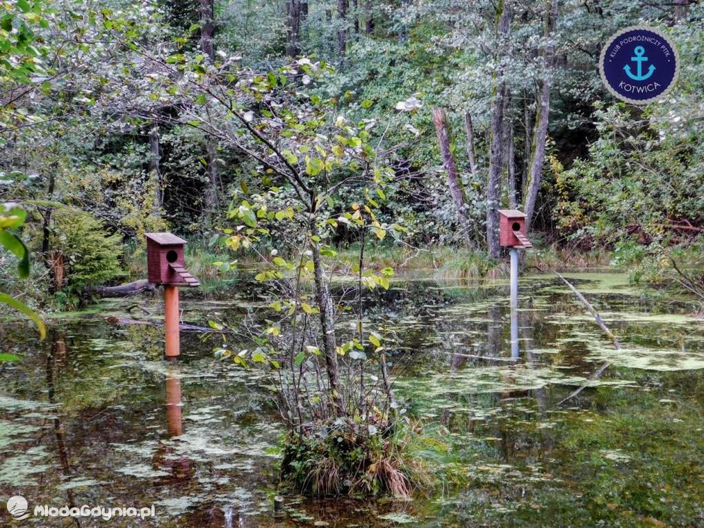 Wycieczka Nr 9 Klubu Podróżniczego PTTK Kotwica - Pamiętamy o Piaśnicy - 17.10.2020