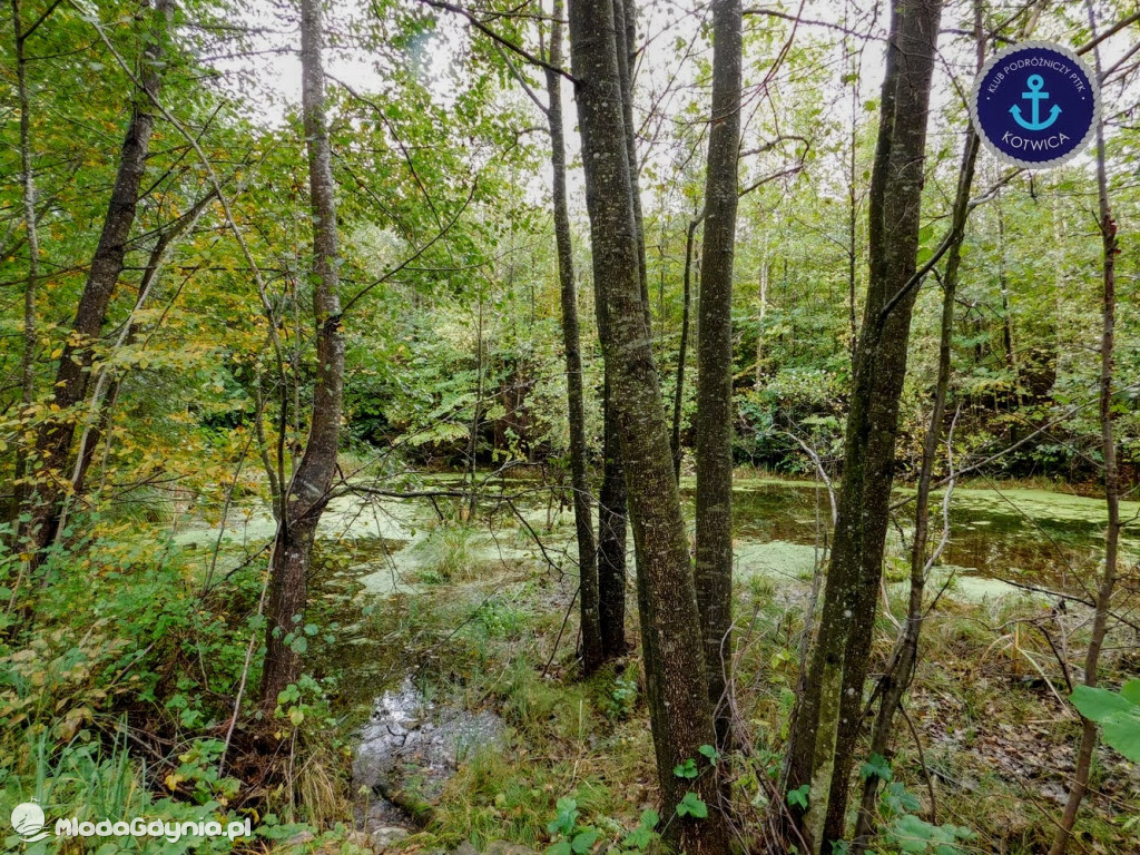Wycieczka Nr 9 Klubu Podróżniczego PTTK Kotwica - Pamiętamy o Piaśnicy - 17.10.2020