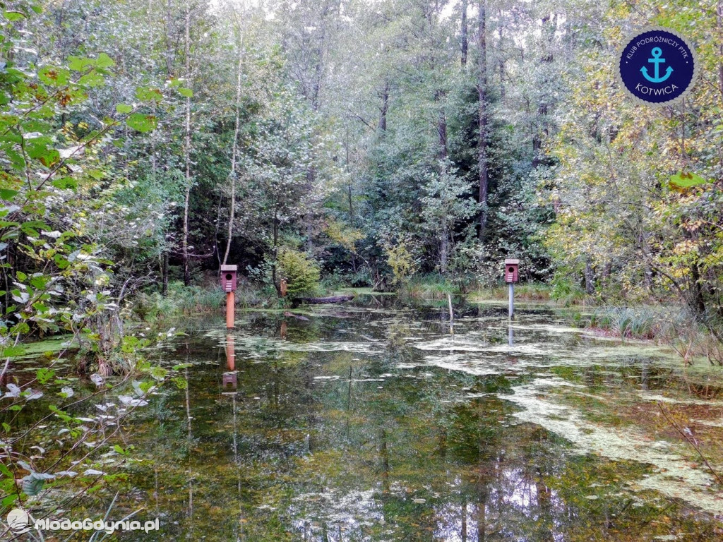 Wycieczka Nr 9 Klubu Podróżniczego PTTK Kotwica - Pamiętamy o Piaśnicy - 17.10.2020