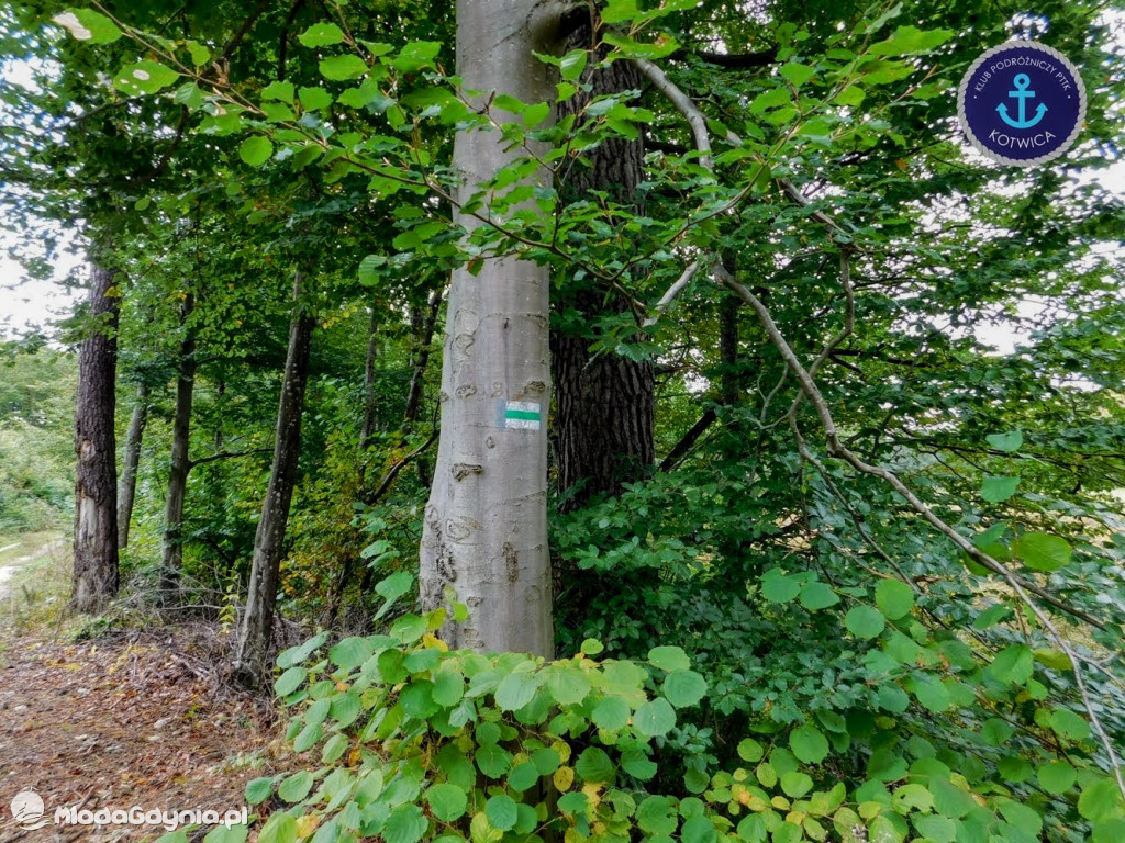 Wycieczka Nr 9 Klubu Podróżniczego PTTK Kotwica - Pamiętamy o Piaśnicy - 17.10.2020