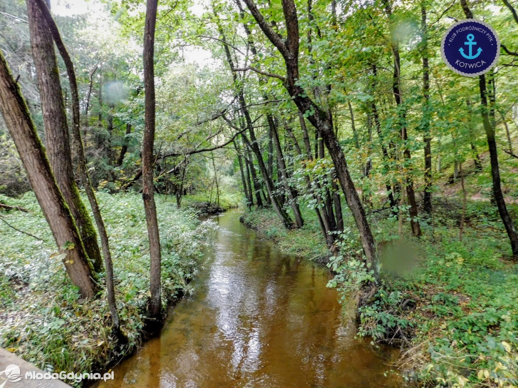 Wycieczka Nr 9 Klubu Podróżniczego PTTK Kotwica - Pamiętamy o Piaśnicy - 17.10.2020
