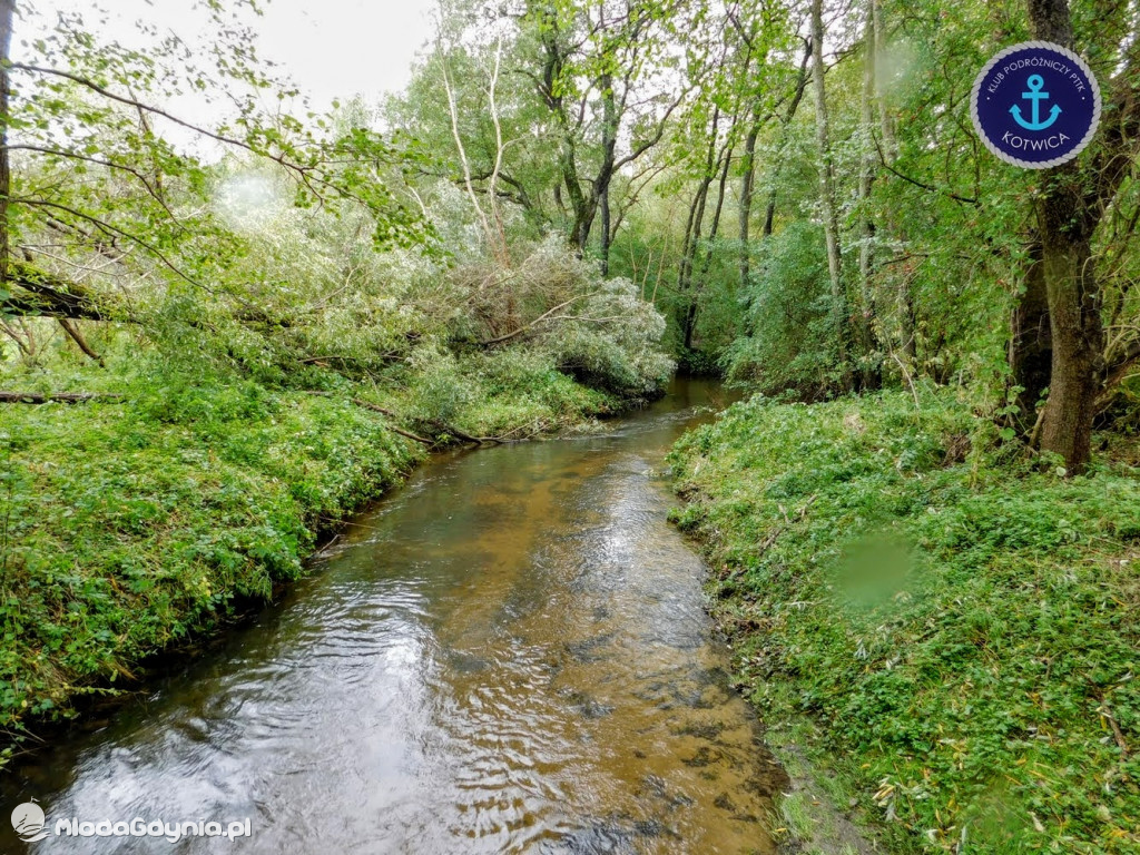 Wycieczka Nr 9 Klubu Podróżniczego PTTK Kotwica - Pamiętamy o Piaśnicy - 17.10.2020