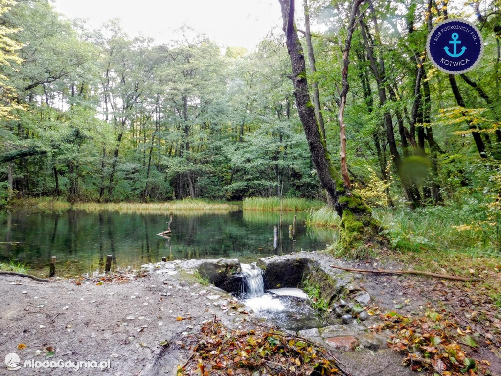 Wycieczka Nr 9 Klubu Podróżniczego PTTK Kotwica - Pamiętamy o Piaśnicy - 17.10.2020