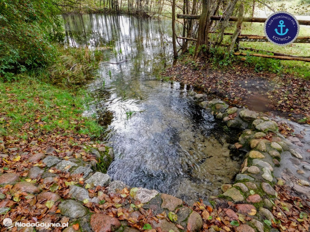 Wycieczka Nr 9 Klubu Podróżniczego PTTK Kotwica - Pamiętamy o Piaśnicy - 17.10.2020
