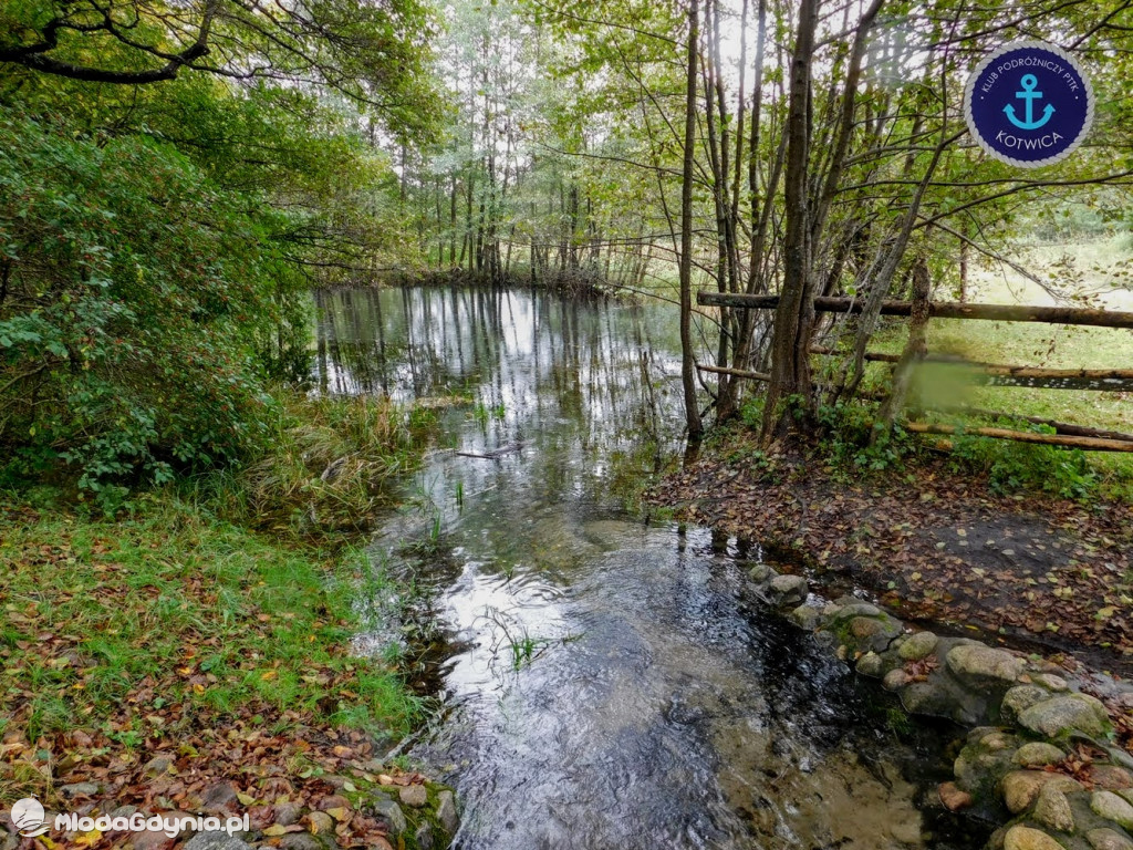 Wycieczka Nr 9 Klubu Podróżniczego PTTK Kotwica - Pamiętamy o Piaśnicy - 17.10.2020