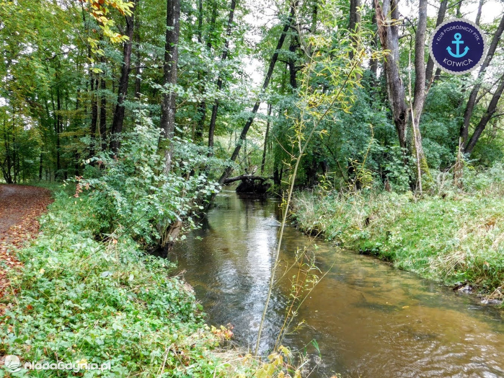 Wycieczka Nr 9 Klubu Podróżniczego PTTK Kotwica - Pamiętamy o Piaśnicy - 17.10.2020