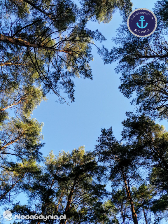 Wycieczka Nr 9 Klubu Podróżniczego PTTK Kotwica - Pamiętamy o Piaśnicy - 17.10.2020