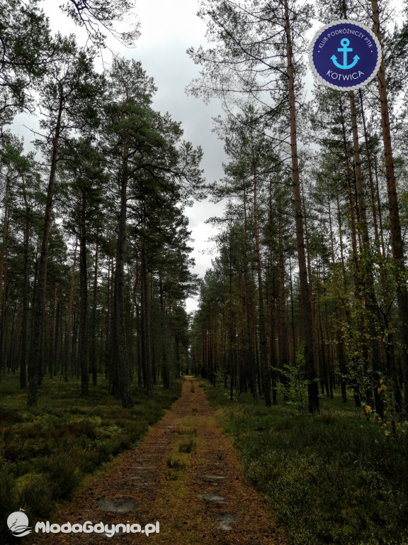 Wycieczka Nr 9 Klubu Podróżniczego PTTK Kotwica - Pamiętamy o Piaśnicy - 17.10.2020