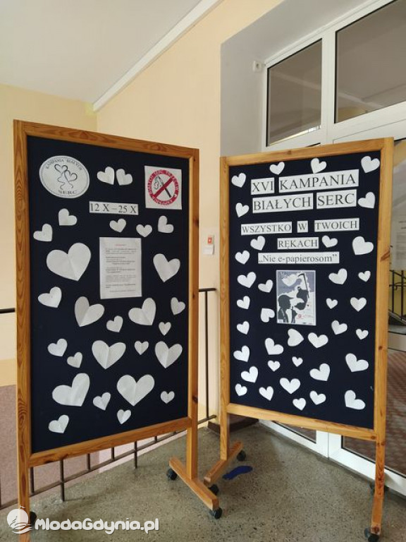 SP 29 - KAMPANIA BIAŁYCH SERC