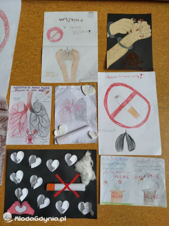 SP 29 - KAMPANIA BIAŁYCH SERC