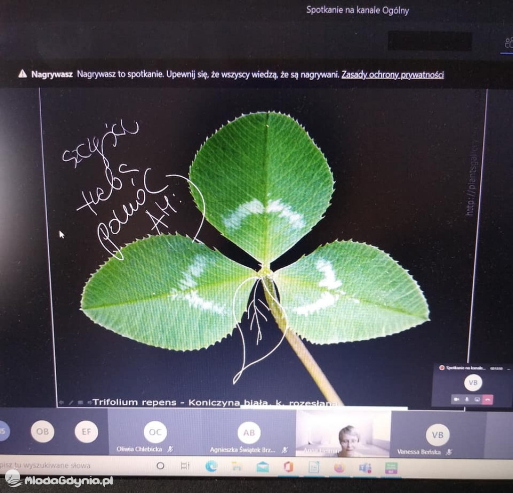 I ALO - Zaproś mnie na swoją lekcję