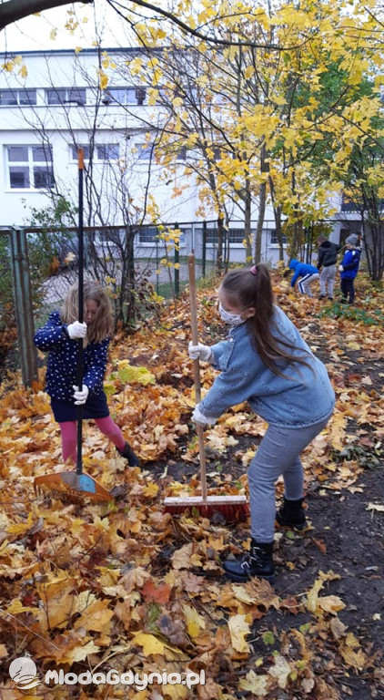 SP 31 przyłącza się do akcji Jeż w wielkim mieście