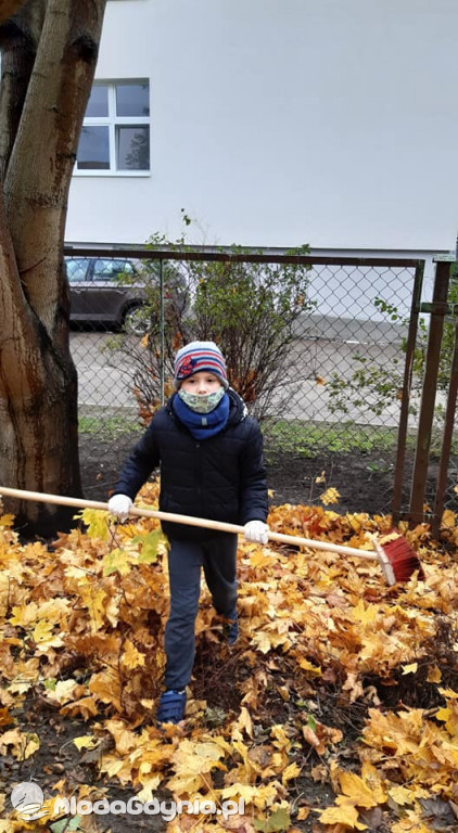 SP 31 przyłącza się do akcji Jeż w wielkim mieście