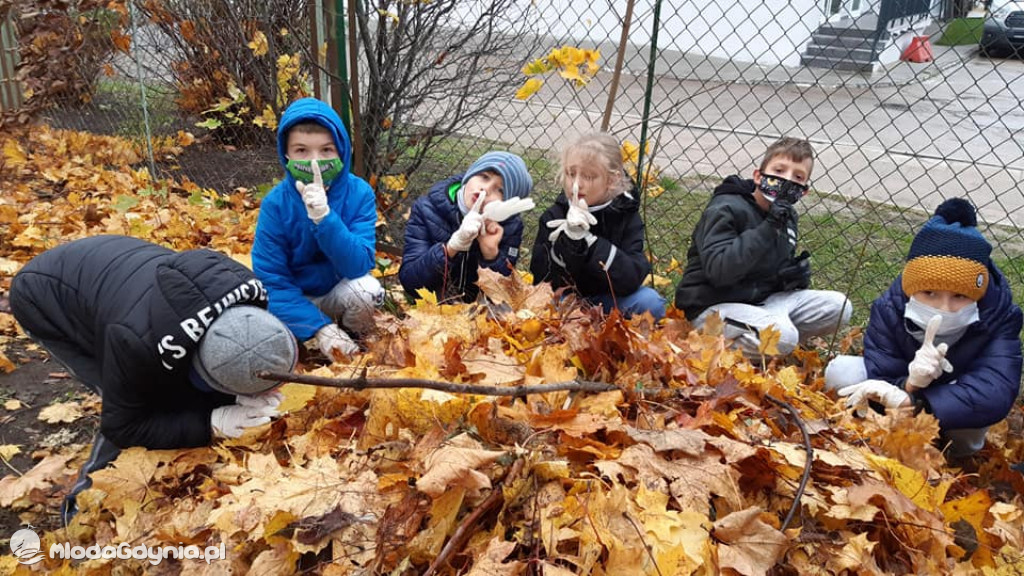 SP 31 przyłącza się do akcji Jeż w wielkim mieście