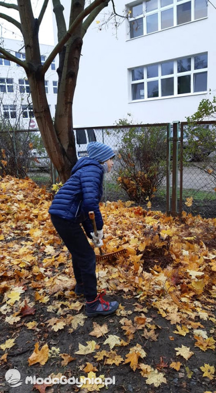 SP 31 przyłącza się do akcji Jeż w wielkim mieście